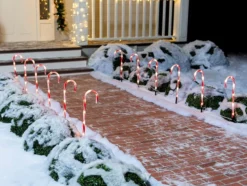 12pcs Red Light Up Candy Cane Pathway Markers 17in 10 12pcs Red Light Up Candy Cane Pathway Markers 17in -Holiday Decor Store 17 Christmas Candy Cane Pathway Markers Lights 12 Packs Thick Red 4 result 600x453 1