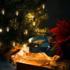 25pcs C7 Christmas Replacement Light Bulb -Holiday Decor Store 25 Pcs C7 Incandescent Bulb 7 result 600x600 1