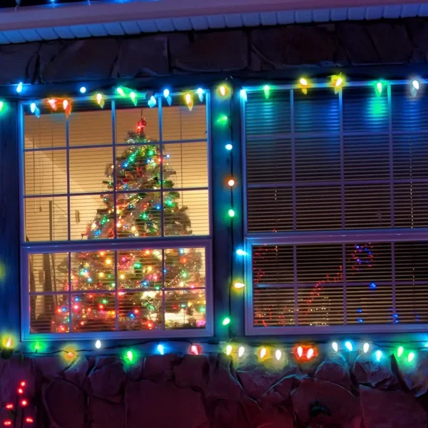 25pcs C9 Multicolor Replacement Bulbs 1 25pcs C9 Multicolor Replacement Bulbs